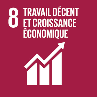 Travail Décent et croissance economique