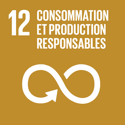 12. Consommation et production responsables