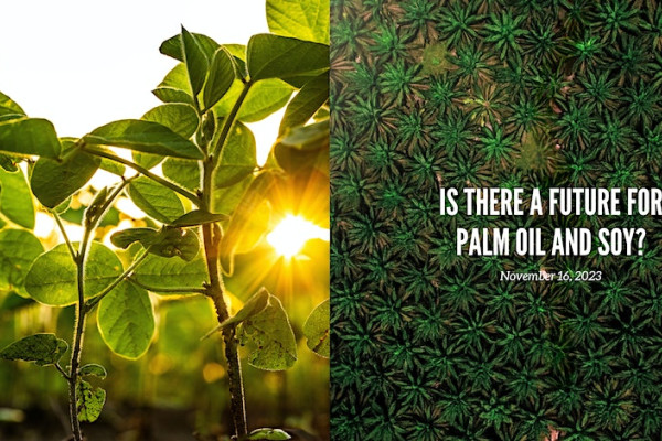 future-for-palm-oiand-soy.jpg