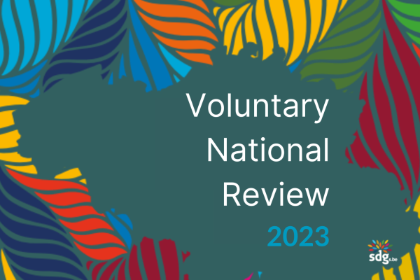 voluntary_national_review_2030_1.png