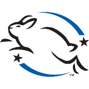 Leaping Bunny