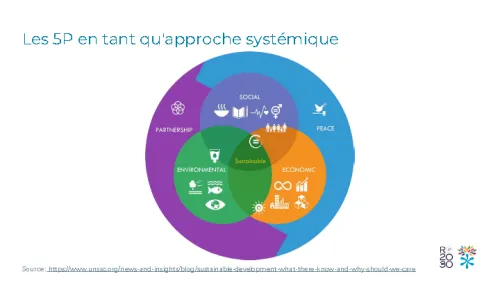 Les 5P en tant qu'approchte syst&eacute;mique